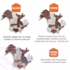3d wooden world map cappuccino enjoythewoodestonia