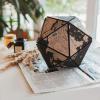 enjoythewoodestonia Gloobus korgist Icosahedron Black